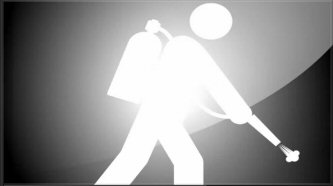 Professional Pest Control Services
